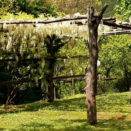Farm stay Casanova Di Campersalle Citta di Castello