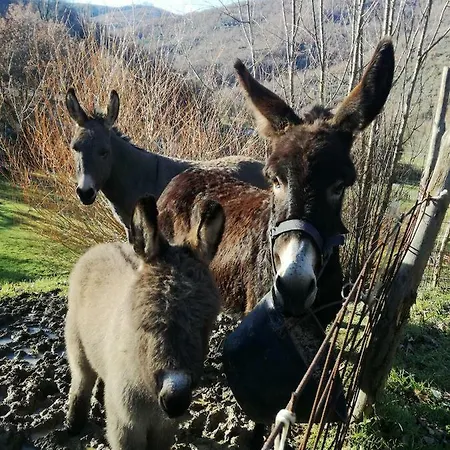 Casanova Di Campersalle * Citta di Castello